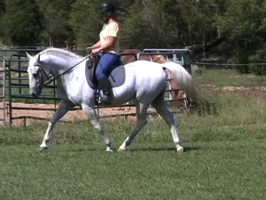 dix-trot-3